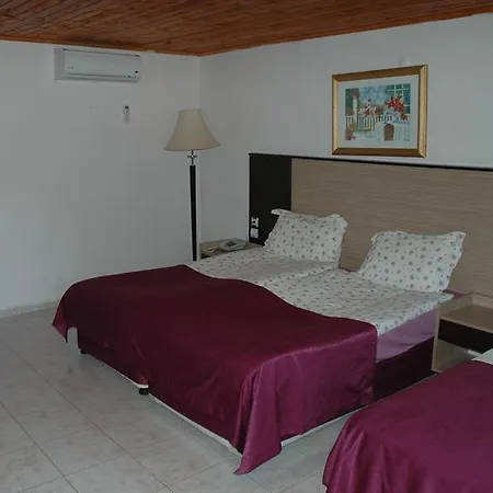 Ξενοδοχείο Altinkum 3*