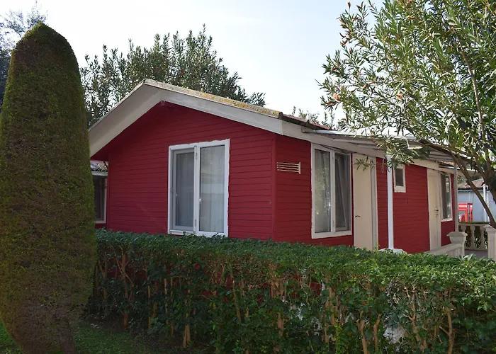 Altinkum Hotell Side